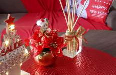 Apartamento das Flores - Foto 9