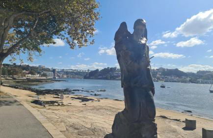 Apartamento vista Douro e Mar - Foto 43