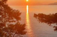 Modern Robinson Veli Bare - Photo 43