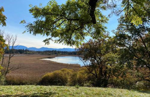 Atelier Seeshaupt - Foto 50