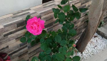 Annas apartment 2 (AgiosNikolaos) - Foto 3