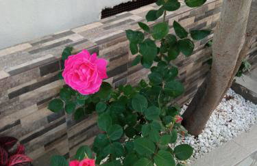 Annas apartment 2 (AgiosNikolaos) - Photo 3