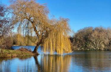 Historic Cotswold Chic Style for UK staycation - Photo 31
