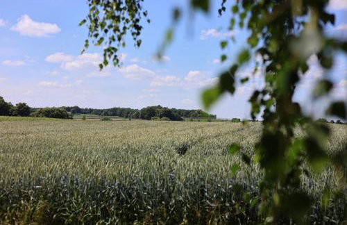 Drzewiecka Chata - Foto 42