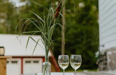 Waterfront 1900s Hot Tub Eldred Homestead - Foto 38