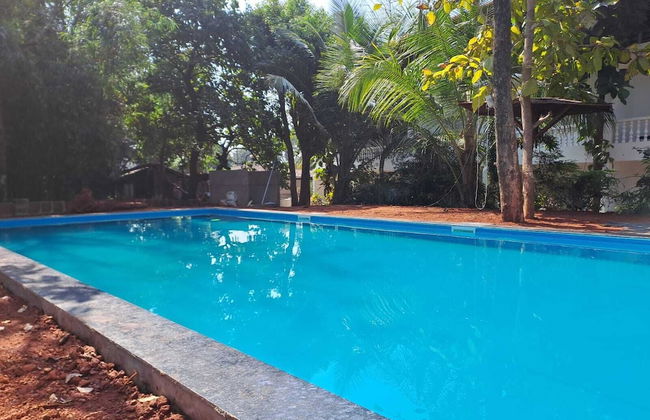 Apricot Inn - Foto 10