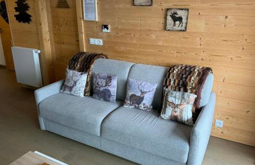 Perle de Savoie Free multipass offer for 4 guests - Foto 8