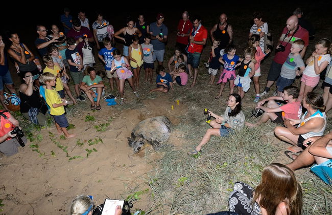 C Bargara Resort - Foto 67