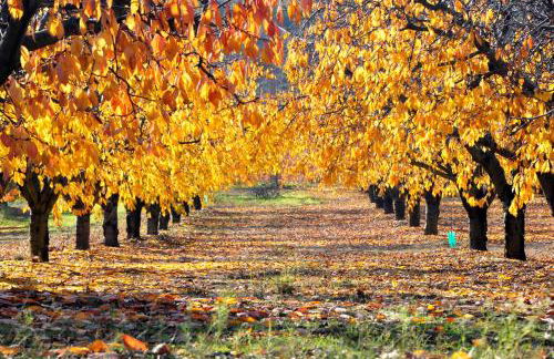 Le Clos d'Estellan - Piscine chauffée - Foto 75