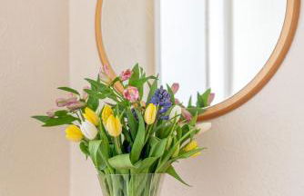 Sandpiper Holiday Apartments - Foto 66