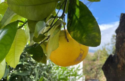 Spacious characterful villa with spectacular views in quiet rural setting. - Foto 53