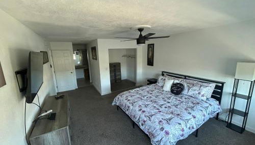 Private Oasis Condo with River views across from Laughlin - Foto 4