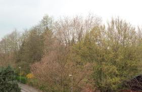 Ferienwohnung mit Loggia - Foto 46