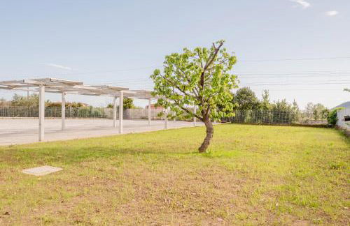 GuestHost - Mare Monti Apartments 1-5-6-8 - Foto 13