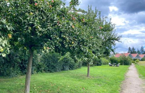 Ferienhaus Wiesengeflüster W10 - mit Sauna, Kamin und Garten - Foto 15