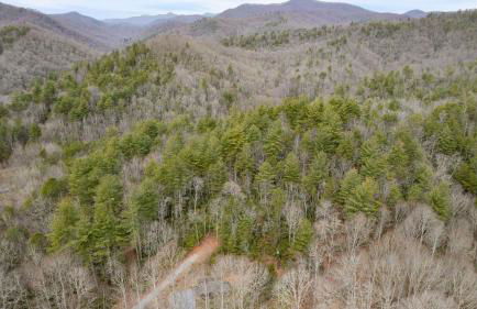 Bears Place by Avantstay Cozy Mountain Cabin in Brevard + Firepit - Foto 51