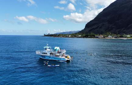 Kalo Homes - Moana Beach Cottage - Foto 14