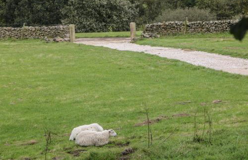 Stoney Cliffe Farm - Photo 34