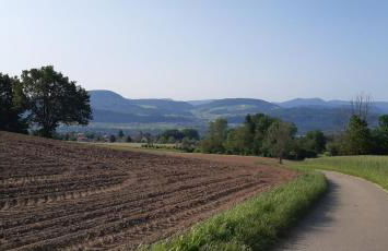 Ferienwohnung Oberhof - Foto 18