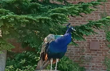 The Stables at Eriviat Hall - Foto 53