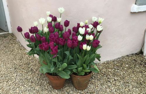 Newton Cottage - Foto 16