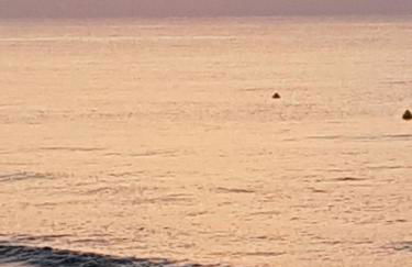 ACAPULCO III MARINA DÓR - Photo 16