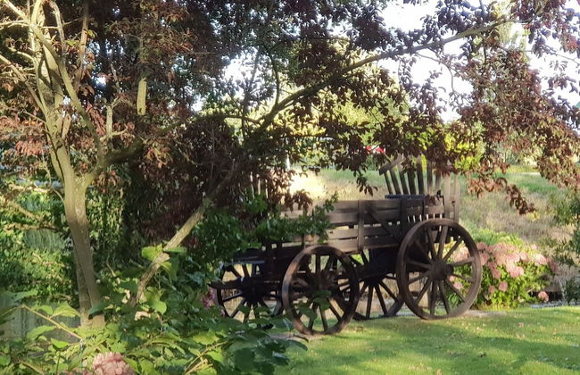 Attractive Farmhouse in Giethoorn With Garden - Photo 59