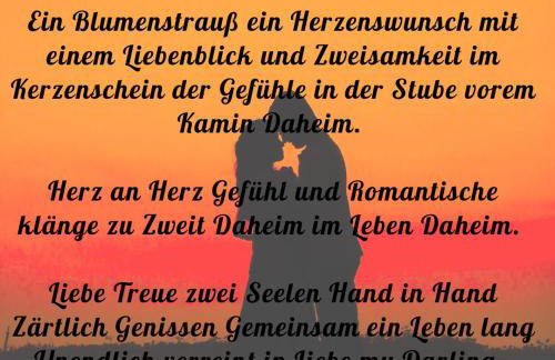 Winzerei Siebenbürgen Weingut Frauendorf-Bergstadt Landau - Foto 4