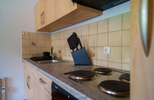 Direkt am Wanderweg, Ferienwohnung im Allgäu nahe Oberstaufen - Foto 21