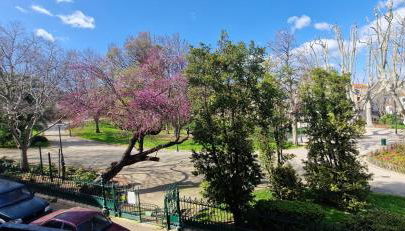 LE PARC2 Appartement Authentique, Coeur de Ville, Proximité Parking, Climatisé - Foto 3