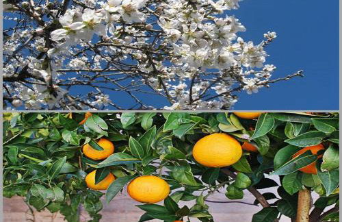 villa fairytale - Foto 75