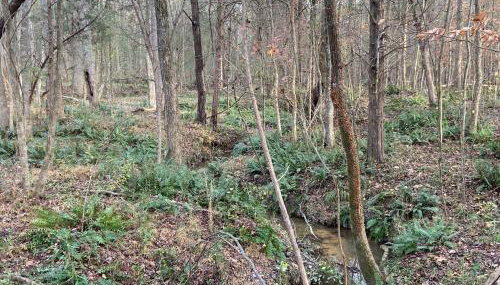 Relax in an upscale, renovated gem - Foto 3