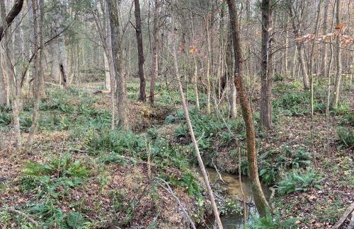 Relax in an upscale, renovated gem - Foto 3