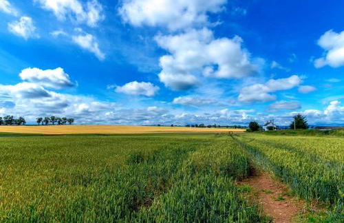 3 Bed in Crieff oc-78313 - Photo 48