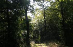 Dolcevita - Photo 41