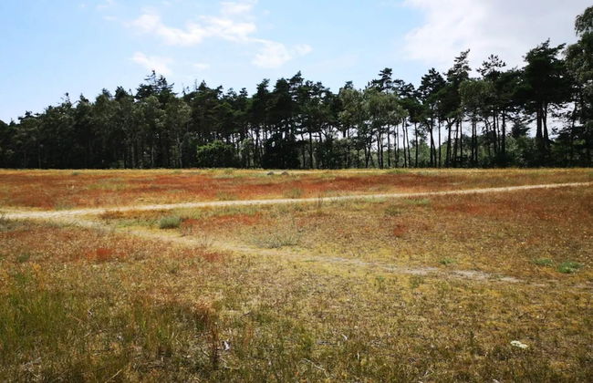 6 Person Holiday Home in Vaeggerlose - Foto 17