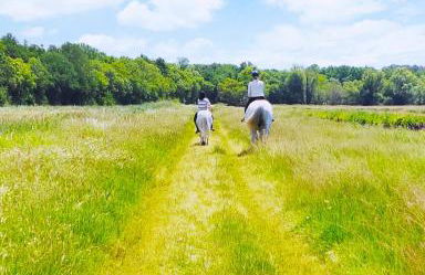 Le Vendalivet - Foto 19