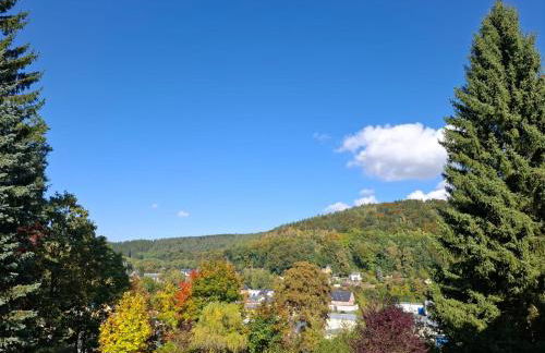 Ferienwohnung Böhme Aue - Photo 29