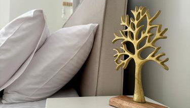 Moretti Studios - Foto 3