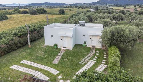 Mellagia Suites Kassandreia - Foto 2, Garden