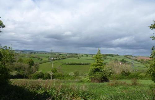 Thatch Close Cottages - Foto 10