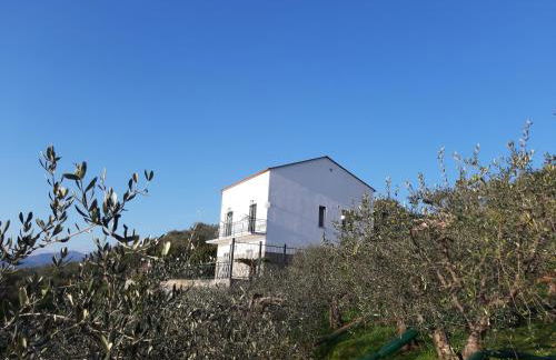 Sarina House Ocean View - Foto 34