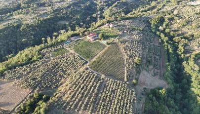 Agriturismo San Jacopo - Foto 2