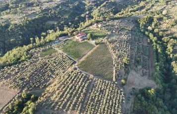 Agriturismo San Jacopo - Foto 2