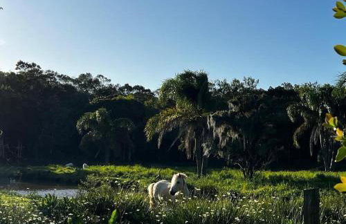Cabana do Lago- Morro da Borússia - Foto 16