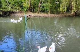 Appartements Studio et Japan Room - Proche Disneyland Paris - Foto 47