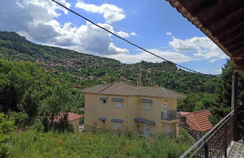 ELLI΄S HOUSE ΣΥΓΧΡΟΝΟ ΣΠΙΤΙ ΣΤΑ ΠΡΑΜΑΝΤΑ - Photo 23