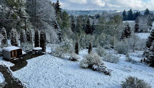 Villa d'exception LA BELLE DES VOSGES 4 étoiles, bain nordique, sauna, billard etc - Foto 5