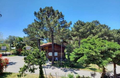 Una pineta sul mare - Riviera dei tramonti - Spiaggia a 300 m - Foto 32