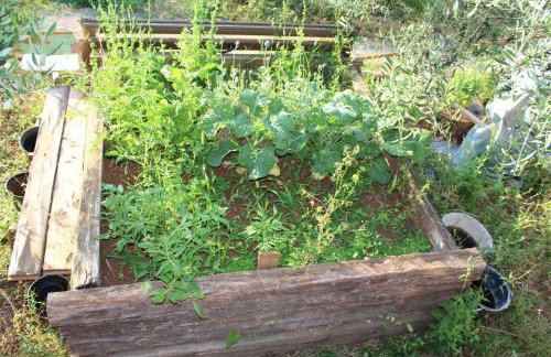 Mary's Garden - Foto 35